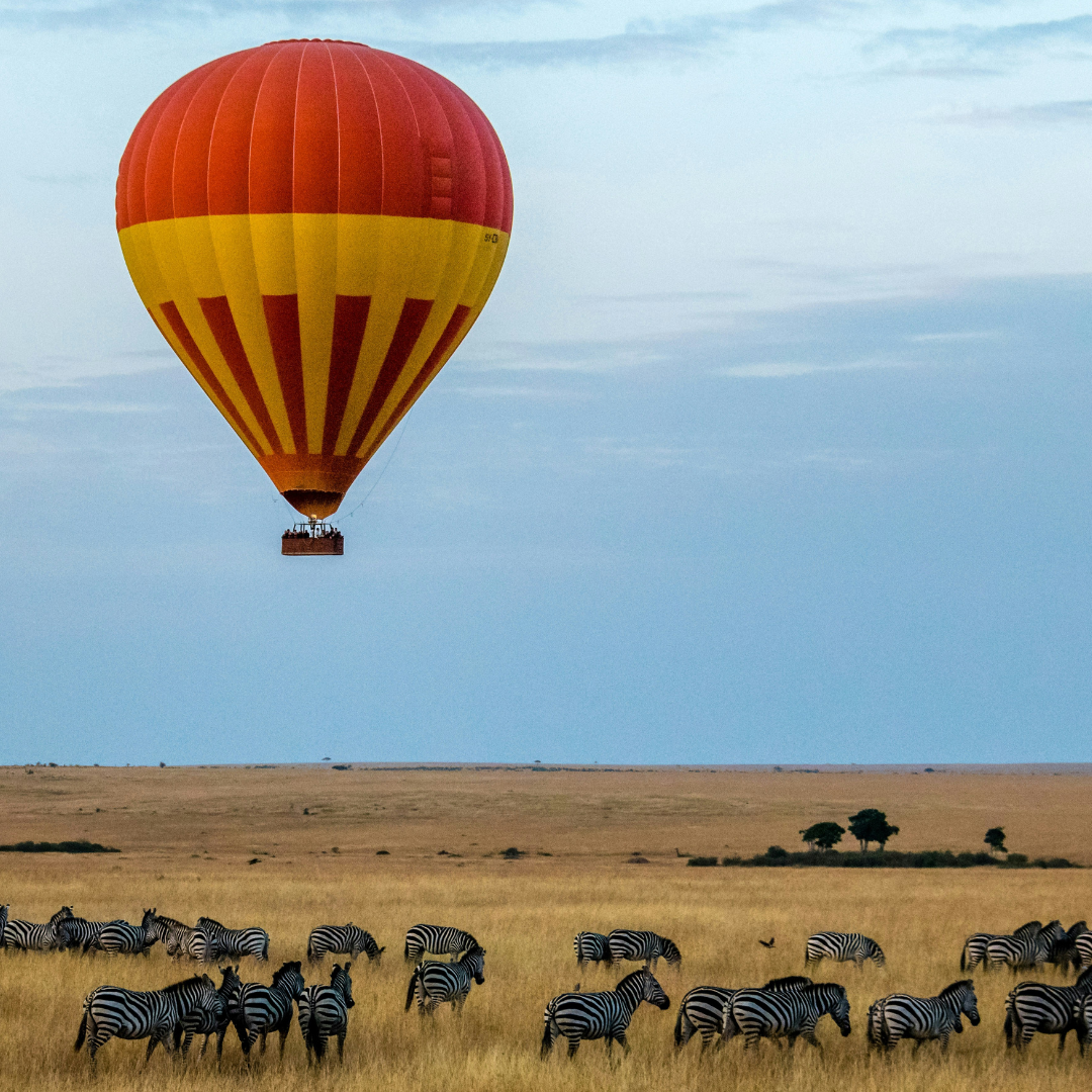 Africa Jungle